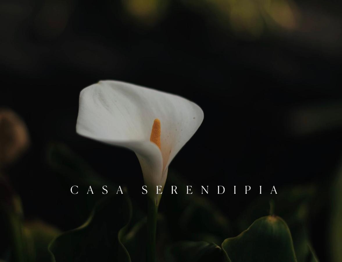 Casa Serendipia La Asomada  Exterior photo